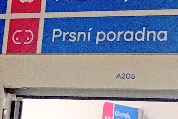 𝔇𝔞𝔪𝔦𝔞𝔫 ☥ ⛤ tweet media