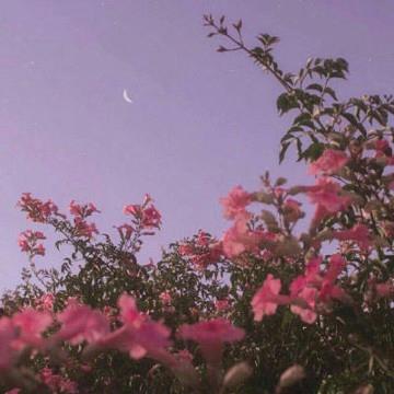 Thomas Kristoffersen tweet media