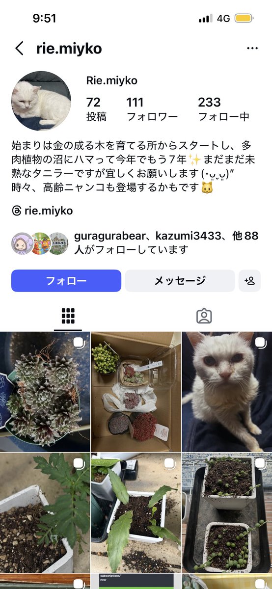 アル【仕事の日はイイネとリプ位でごめんなさい🙏】 tweet media