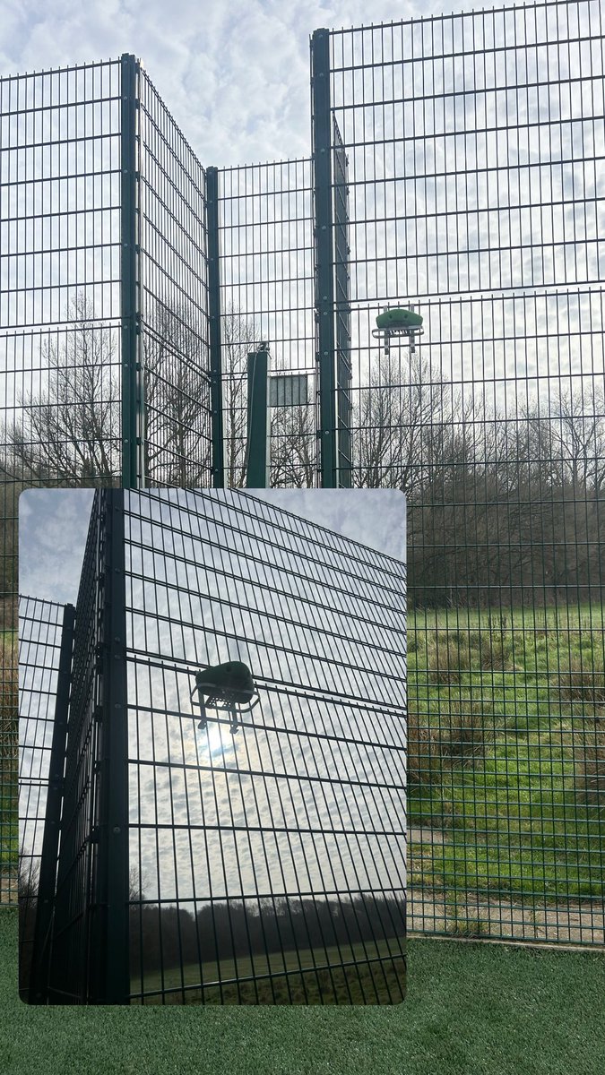 Kyle Hall tweet media