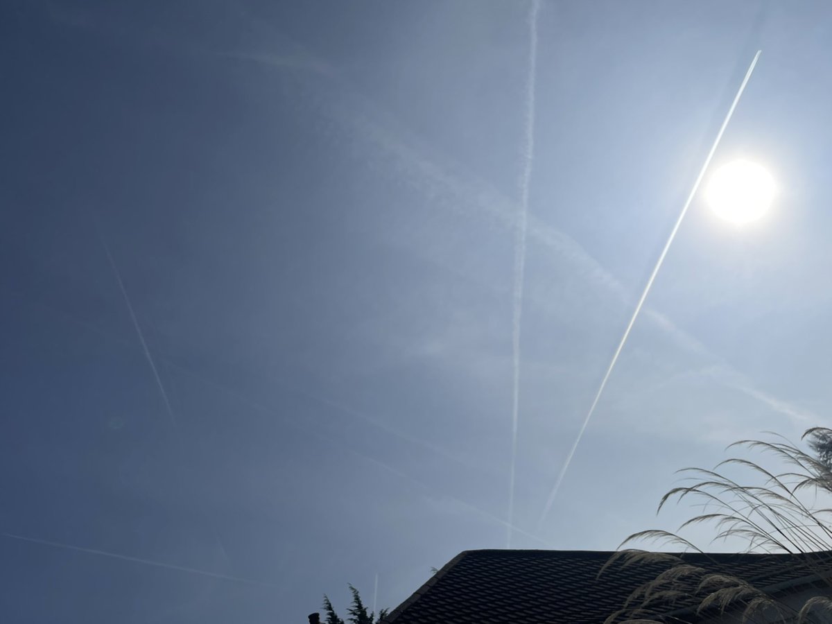 Nae Comment tweet media