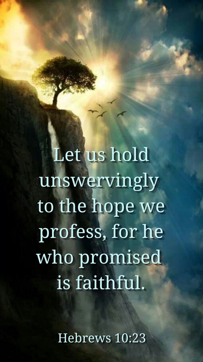 MJ Harris tweet media