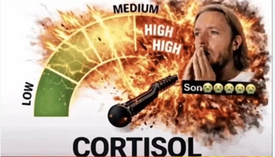 The Filter tweet media