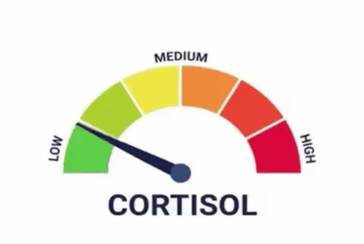 The Filter tweet media