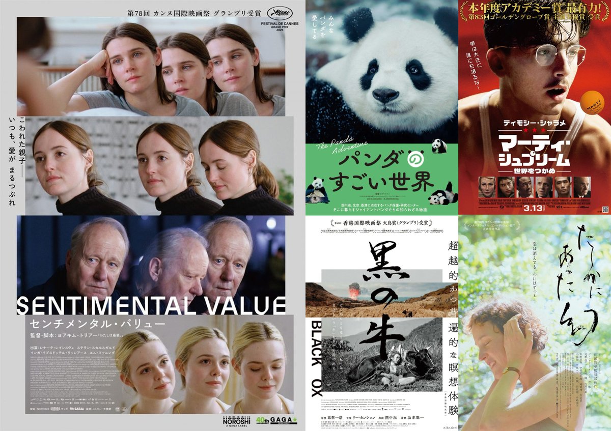 福井メトロ劇場 tweet media