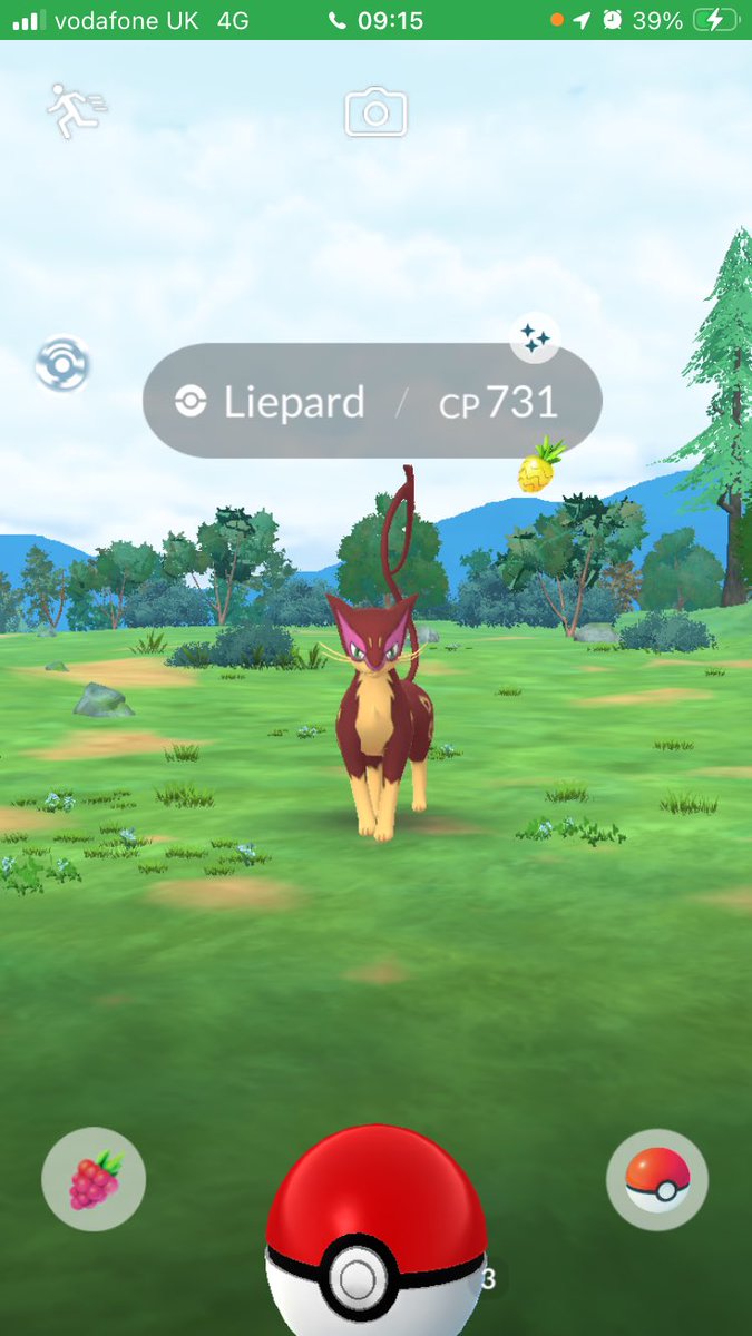 Philcbk - TL50x6 (TL40x56) 1B XP tweet media