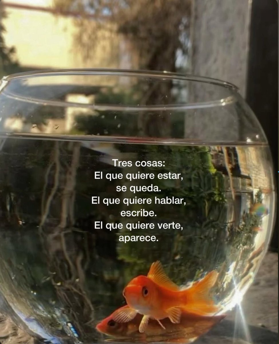 Bacchus 𓄂𓆃 ♛♜♞☥☉ tweet media