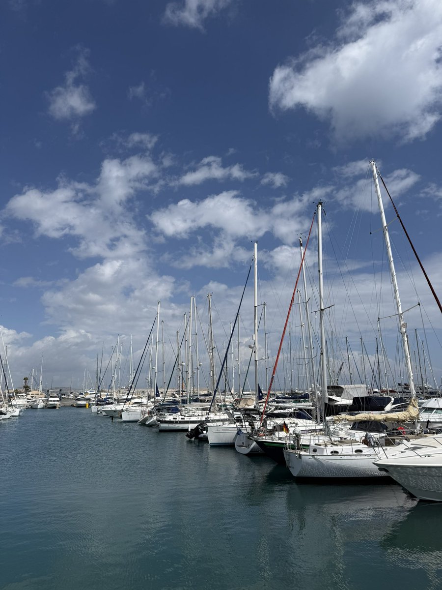 Luke Weaser-Seychell 🏆🏆 tweet media