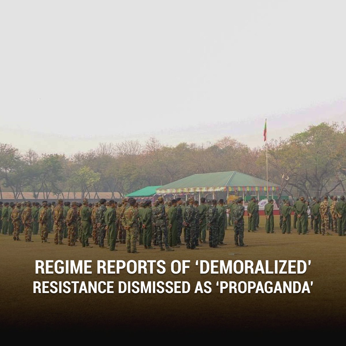 DVB English News tweet media