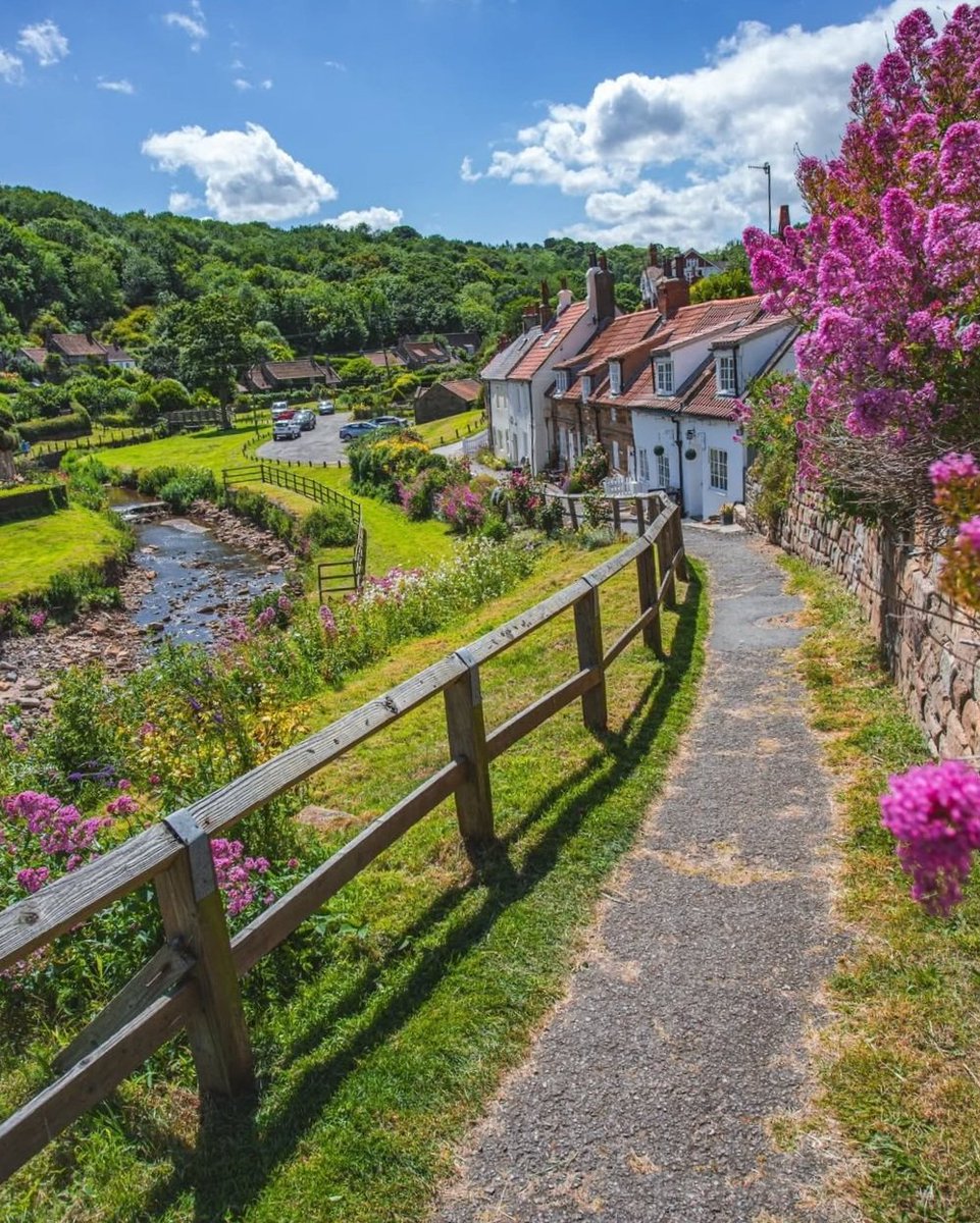 North Yorkshire tweet media