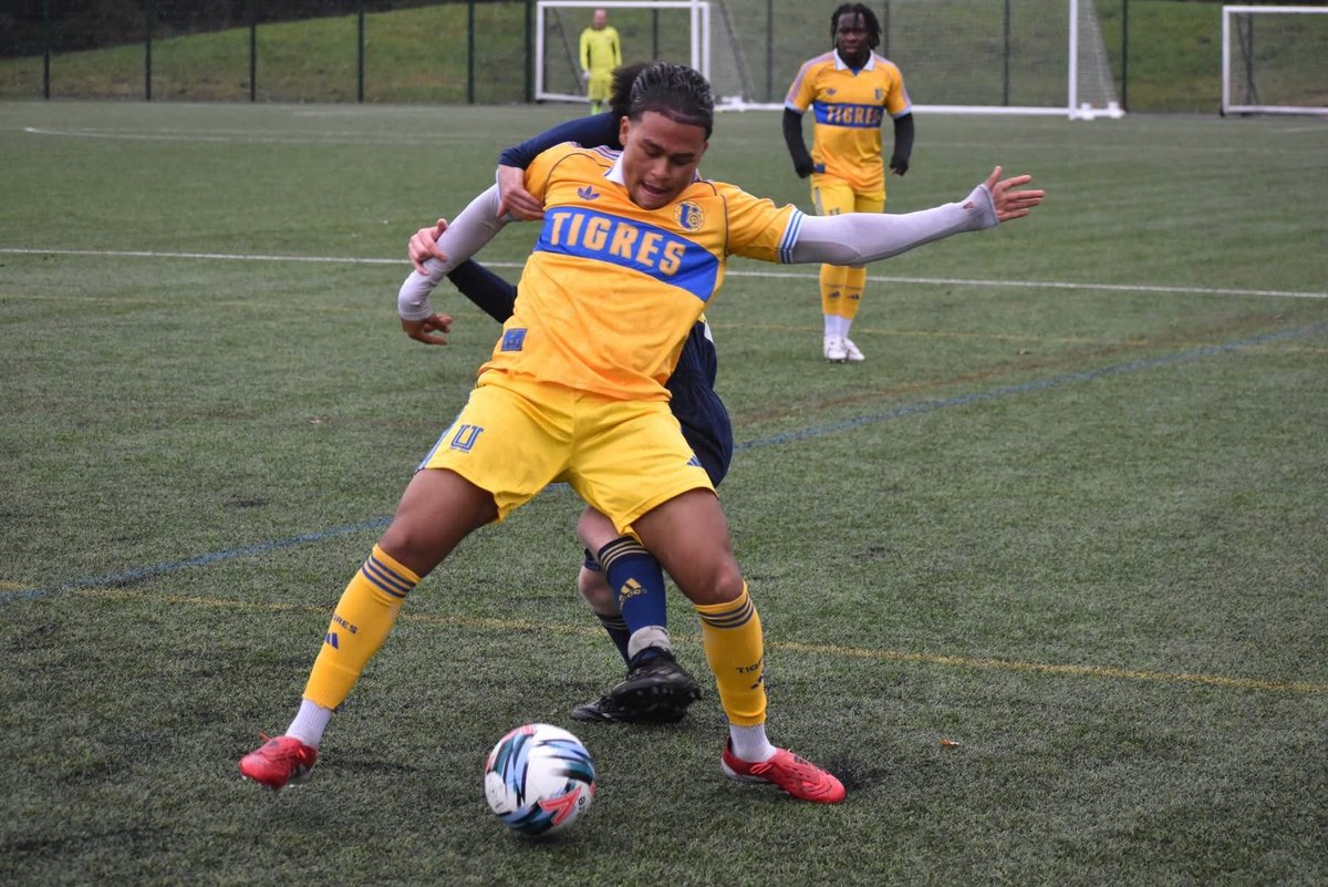 Pineapple F.C tweet media