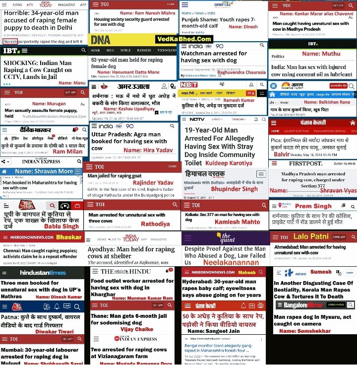 Dupanchi tweet media