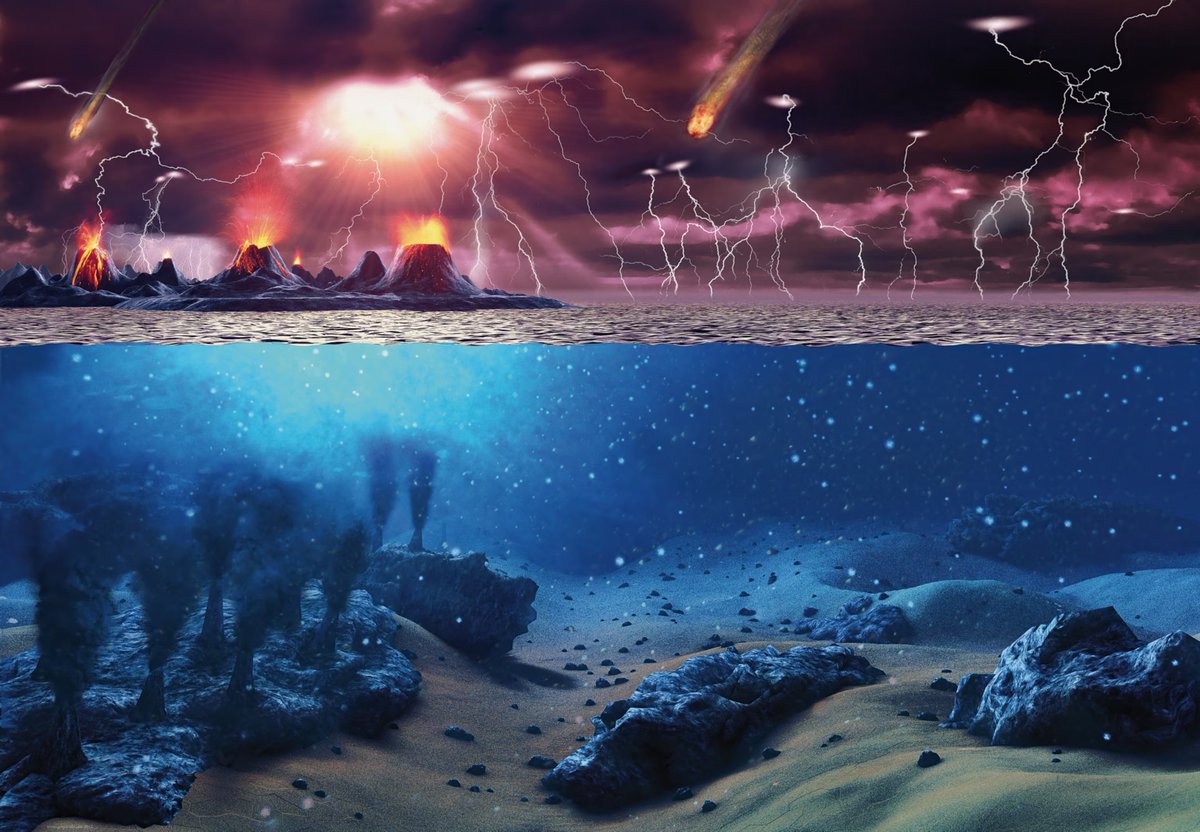 Linda J. Crane tweet media