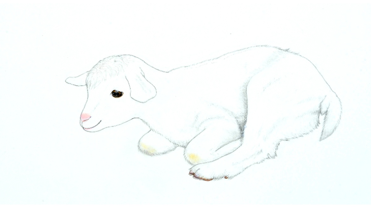 佐倉市立美術館 tweet media