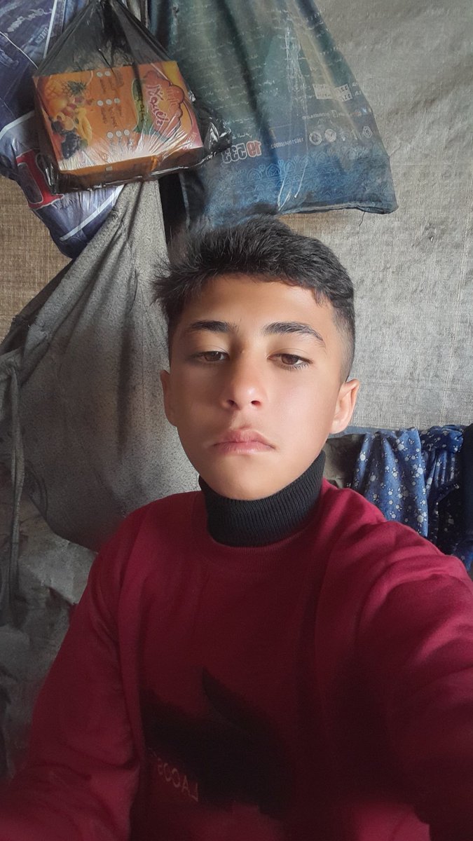 Alaa from Gaza🍉 tweet media