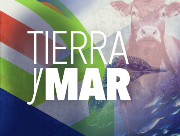 Cooperativas Agro-alimentarias de Andalucía tweet media