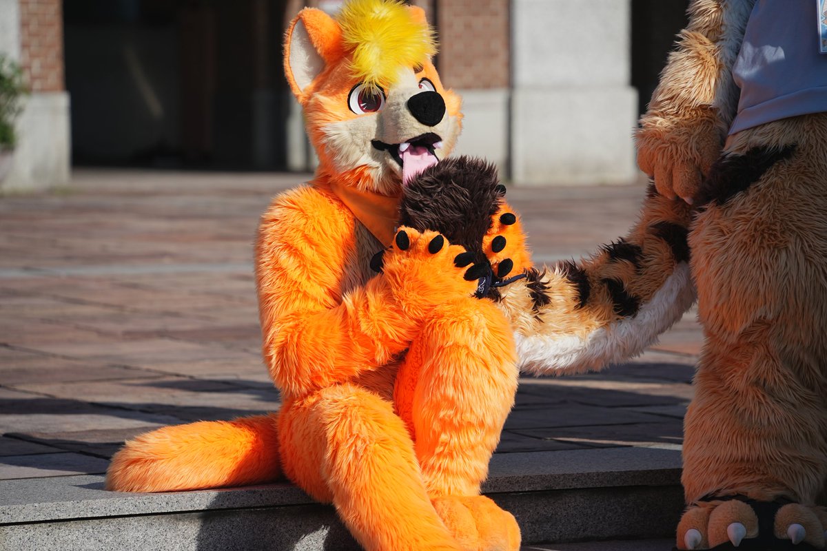 🌈橙色🐺UTFG🧳🍌 tweet media