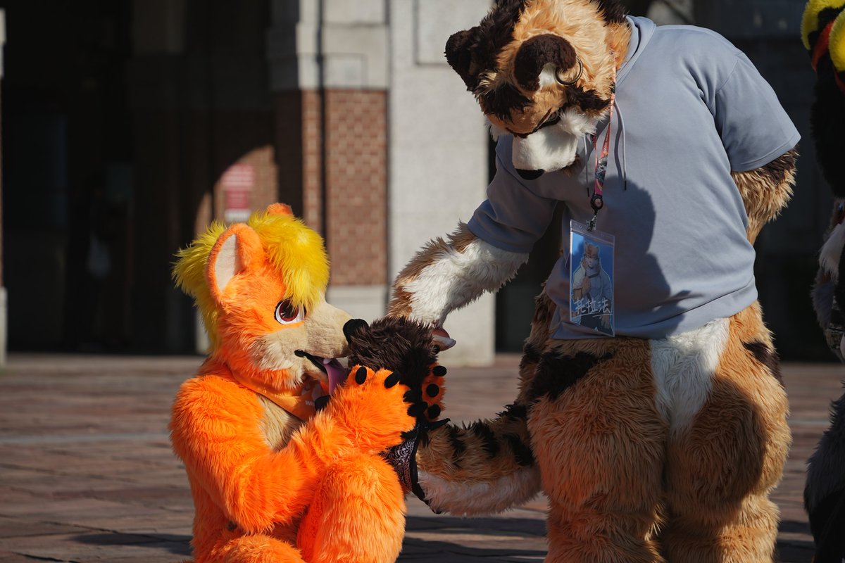 🌈橙色🐺UTFG🧳🍌 tweet media