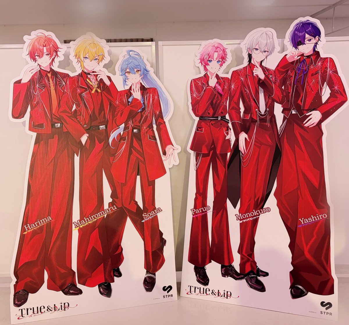 とぅるりぷ【公式】 True&Lip - とぅるーあんどりっぷ - STPR新人歌い手グループ tweet media