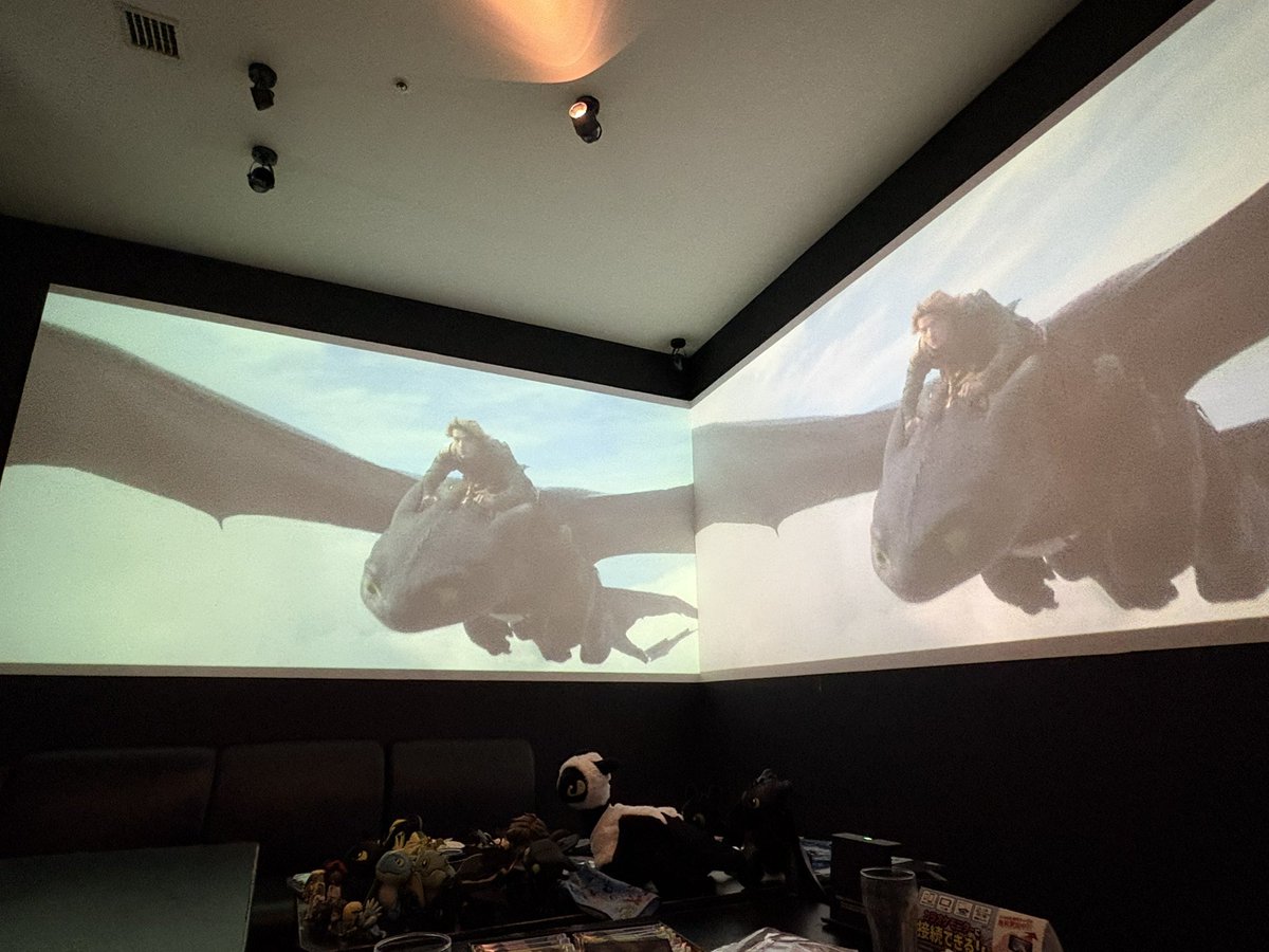 今日はヒクドラオフ会でした🐉✨
映画見つつ色々語ったりグッズの見せ合いっこしたり、めっちゃ楽しかったです！！！（初めて見る貴重な品々がたくさん…🥹）
ありがとうございました〜