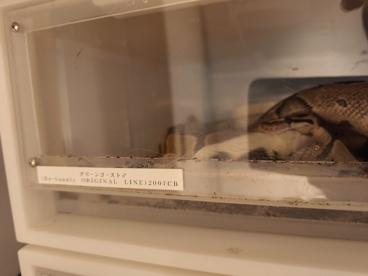 ボスゴドラ@YGGDRASILL tweet media