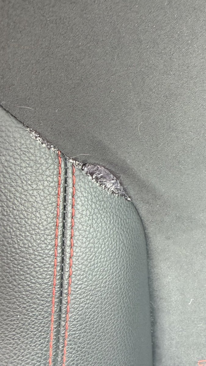 Steve ALAW💙🤍💛 tweet media