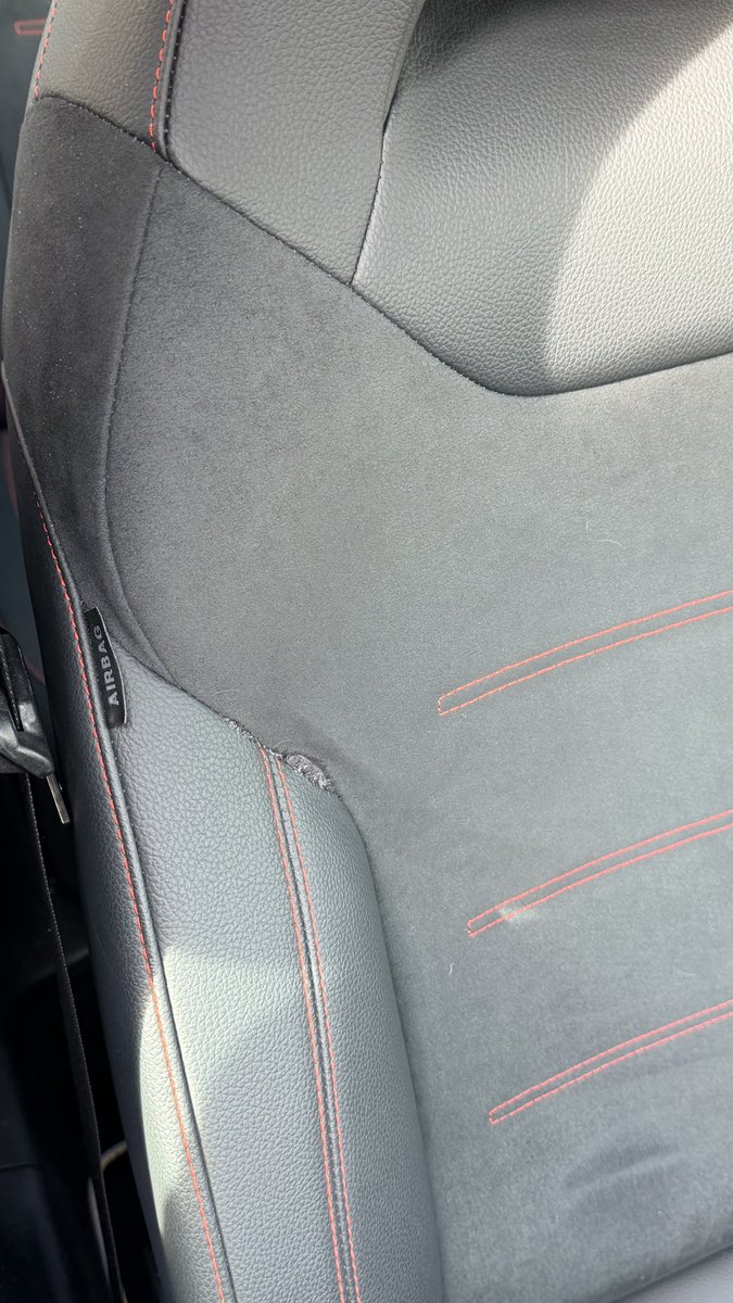 Steve ALAW💙🤍💛 tweet media