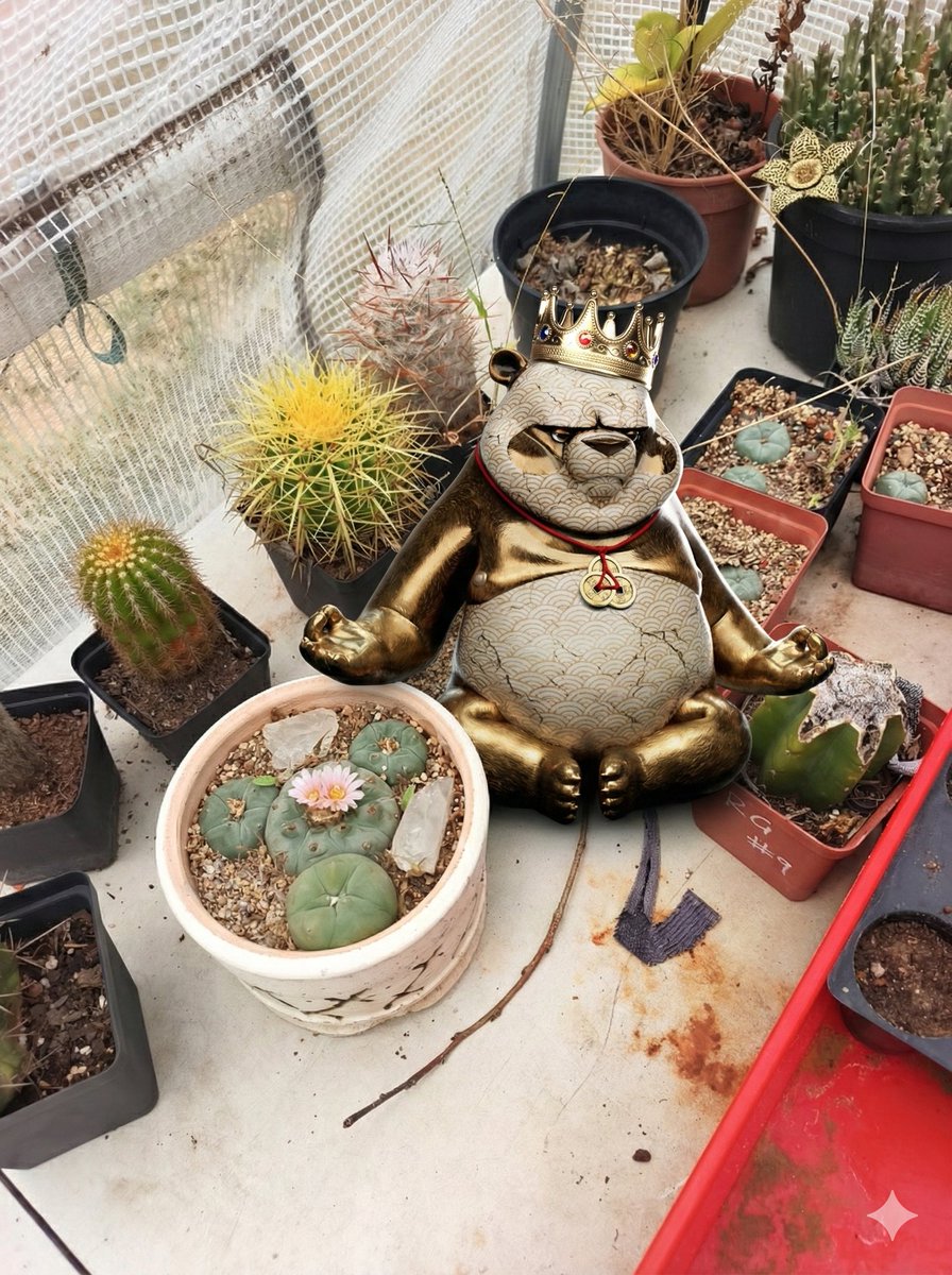 NobleNetwrk tweet media