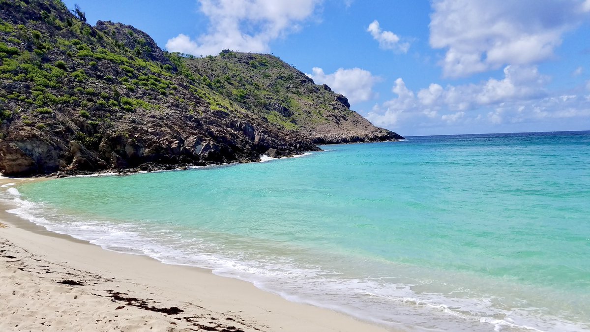 Morgan 🏴☠️ tweet media