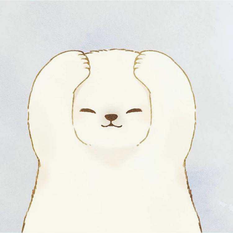 小菲菲 tweet media