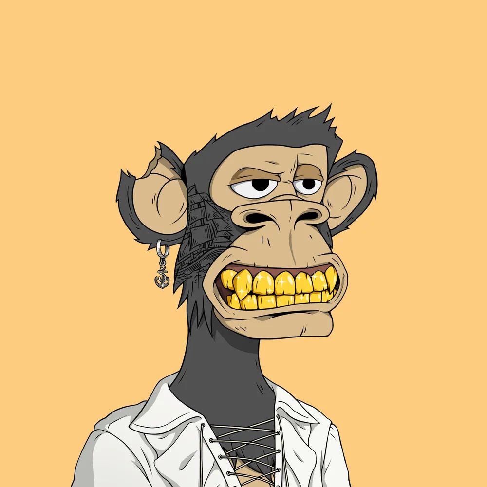 nixxon 🏴‍☠️ tweet media