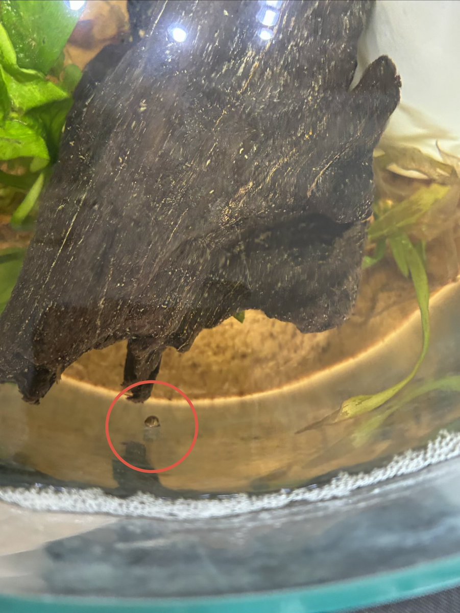 Lola ☾ tweet media