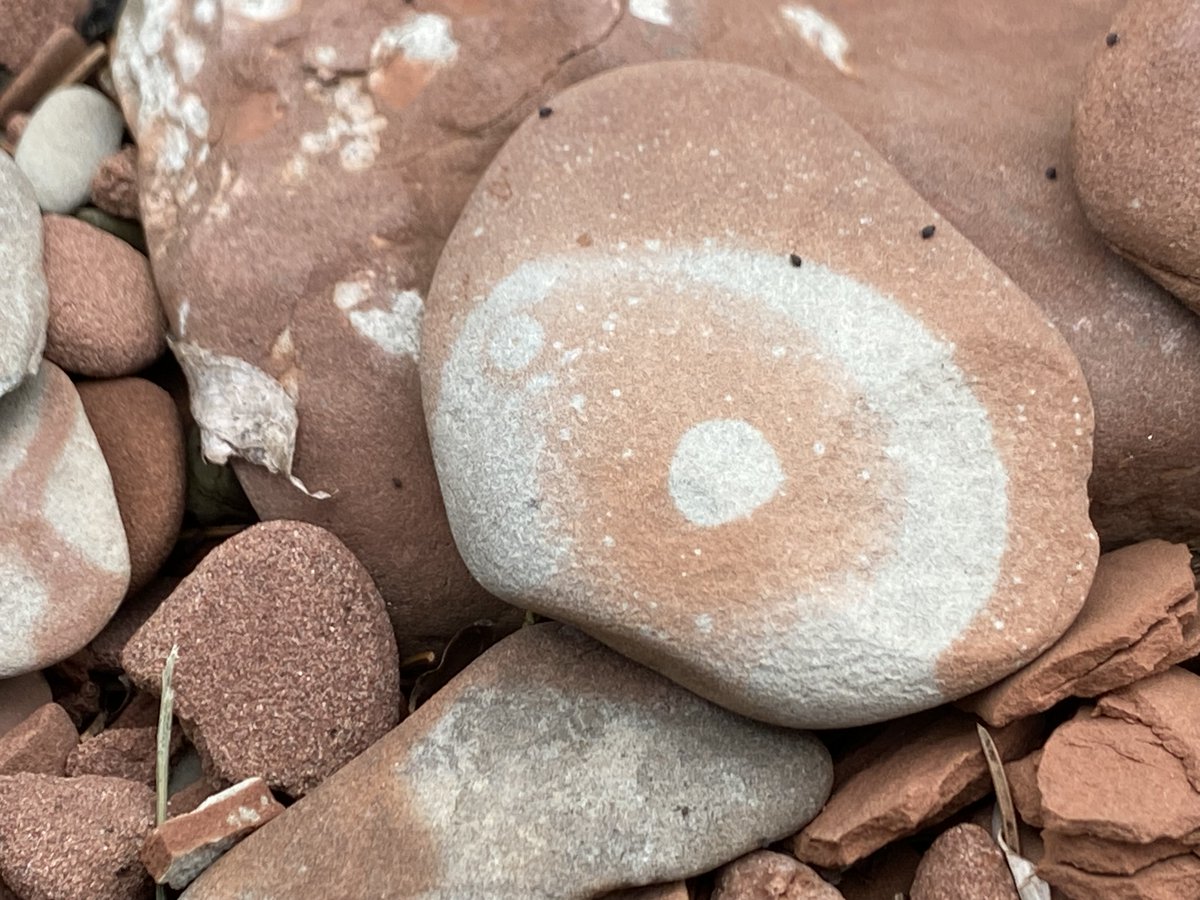 Always Anon PEI tweet media