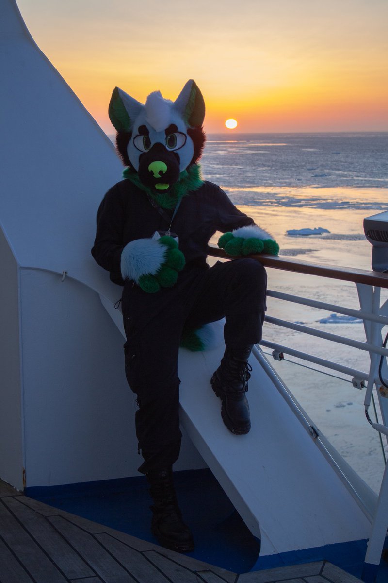 kuula70's tweet photo. Its fursuitfriday:333 #furry #fursuit #fursuitfriday #turri #suomiturri https://t.co/h1IoVg9pVA
