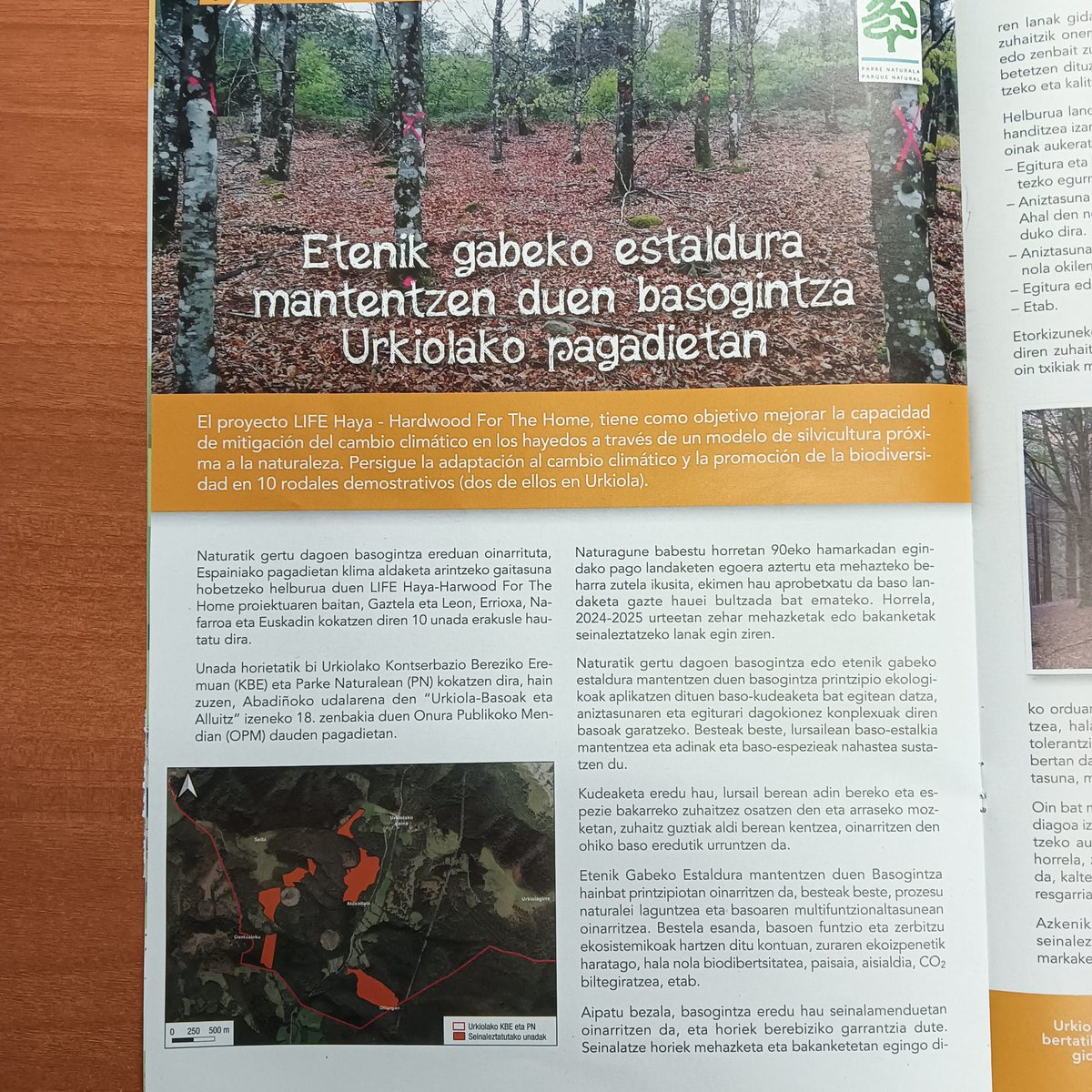 Life HAYA Hardwood For The Home tweet media