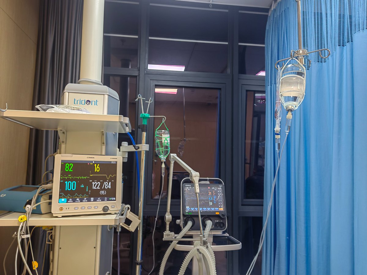 顾小艺 3.0🍀 tweet media