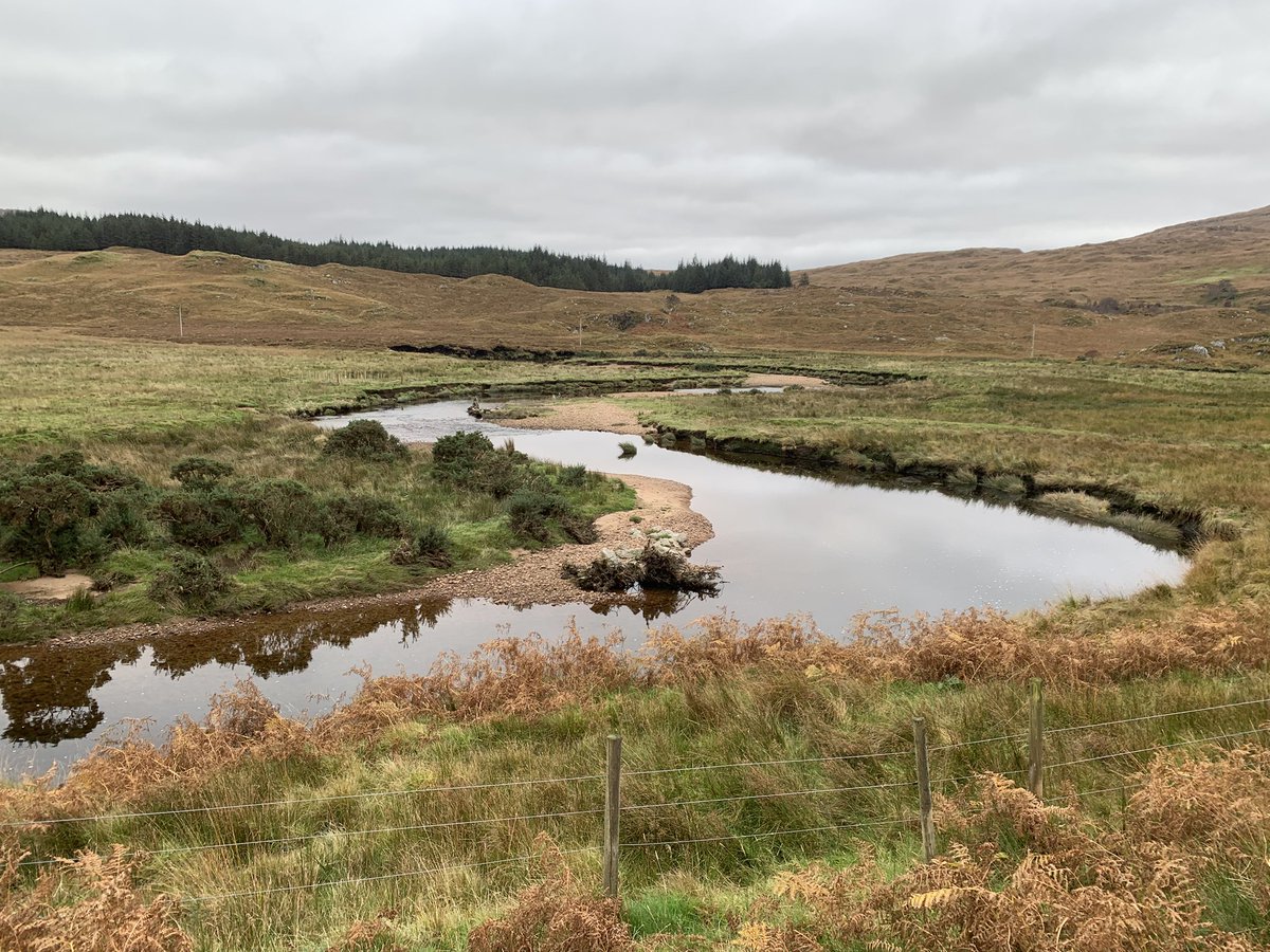 Salmon Scotland tweet media