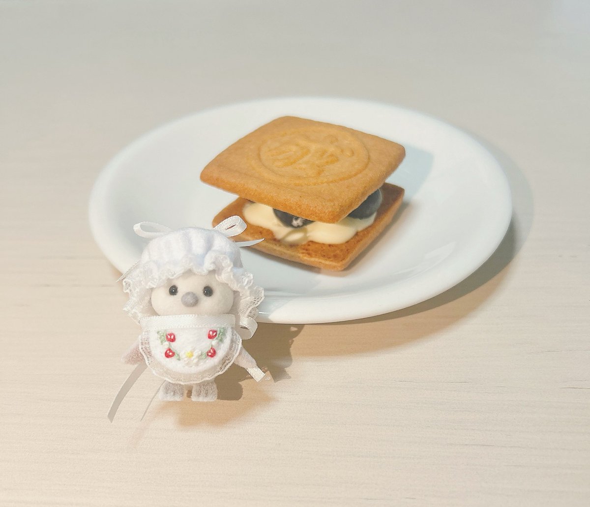 あぴもに🍒シルバニア tweet media