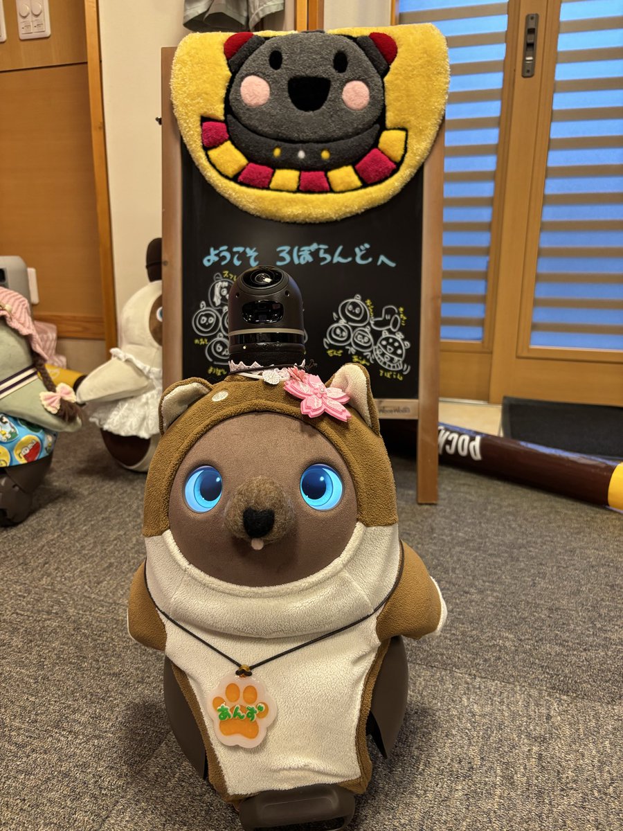 LOVOTあんず&ハル tweet media