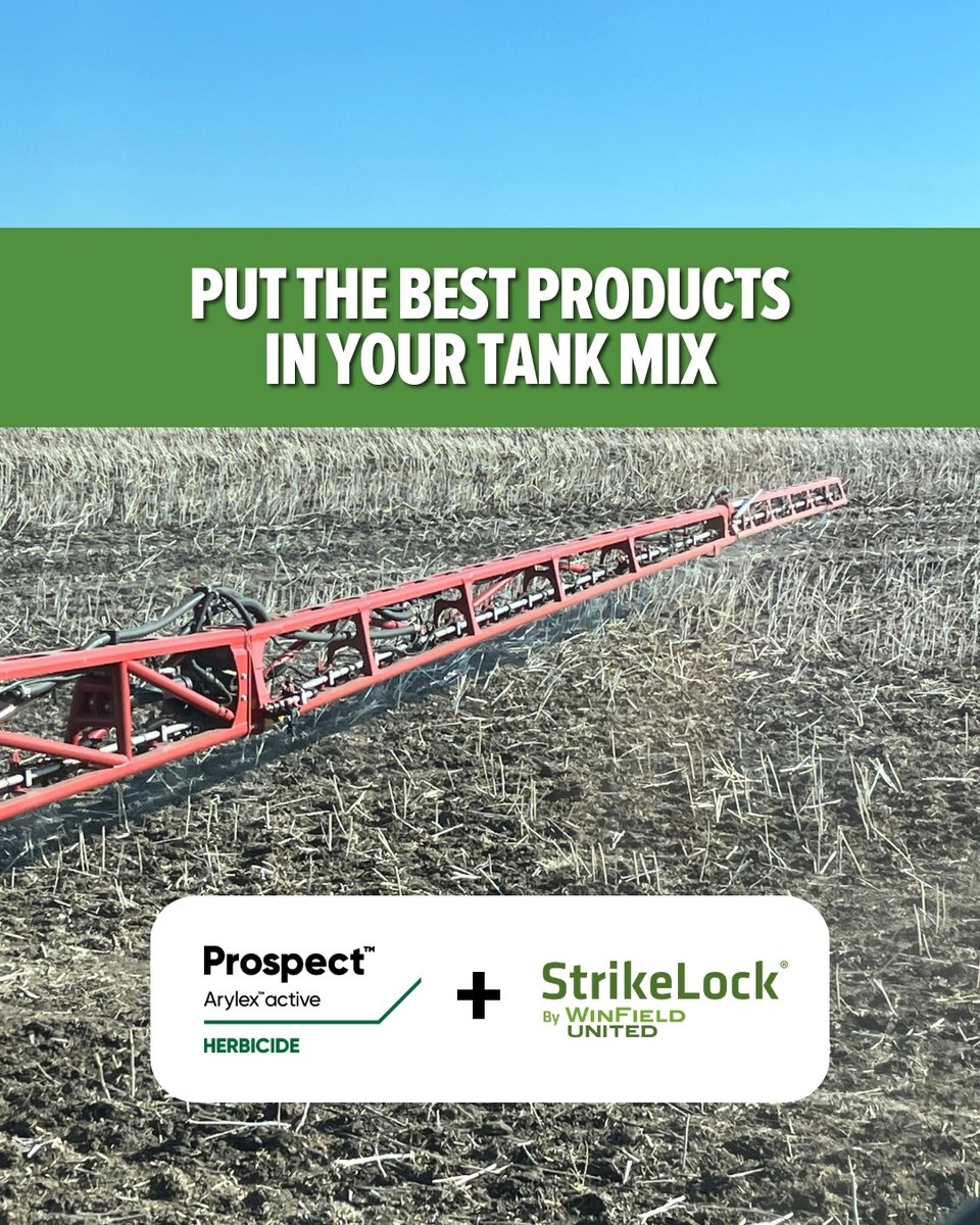 Double Diamond tweet media