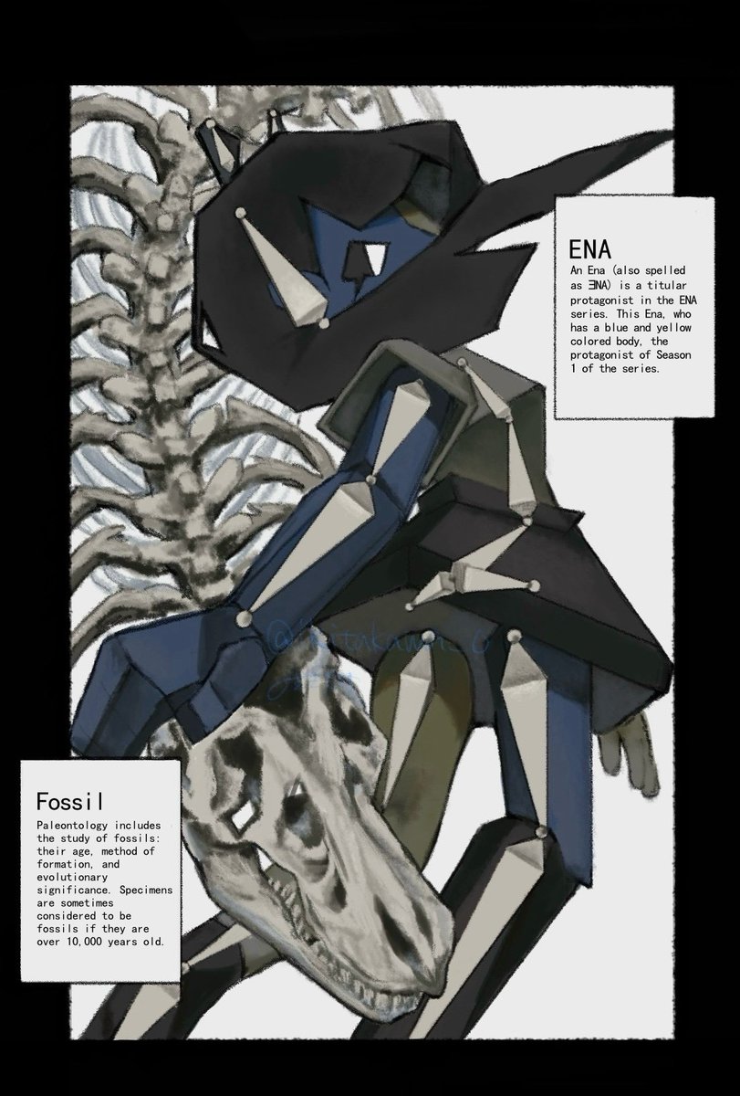 生きた川 tweet media