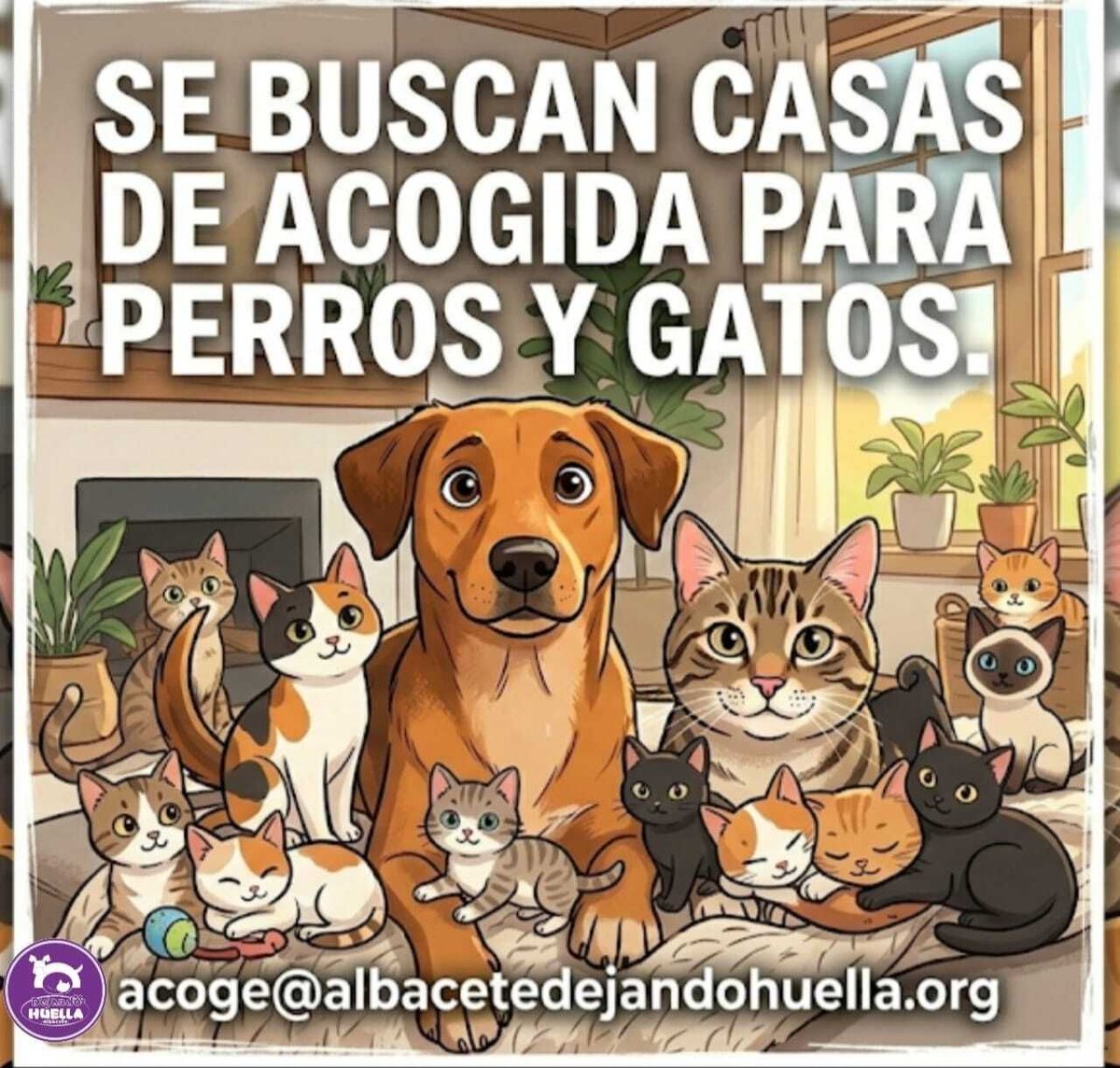 Dejando Huella Albacete tweet media