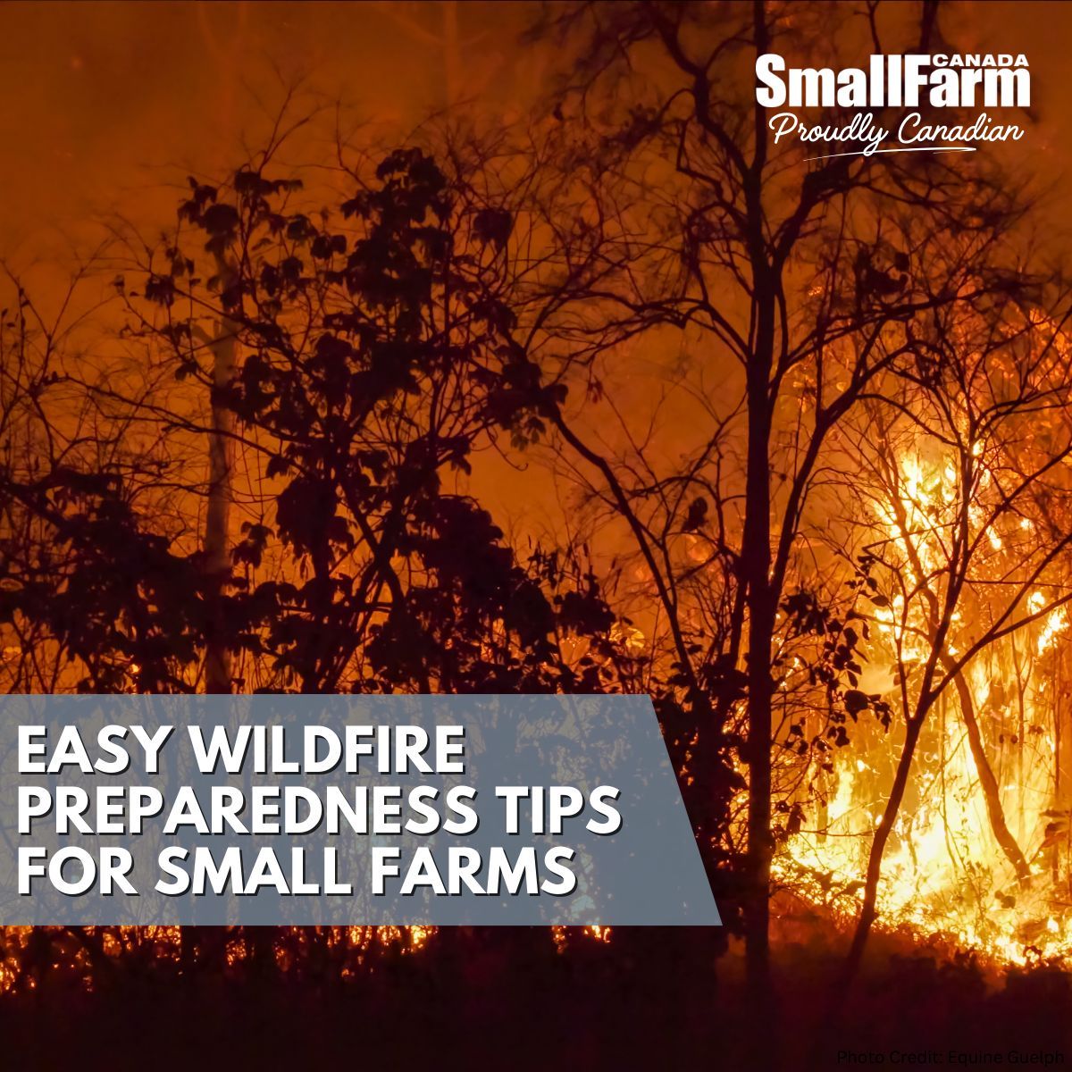 Small Farm Canada tweet media