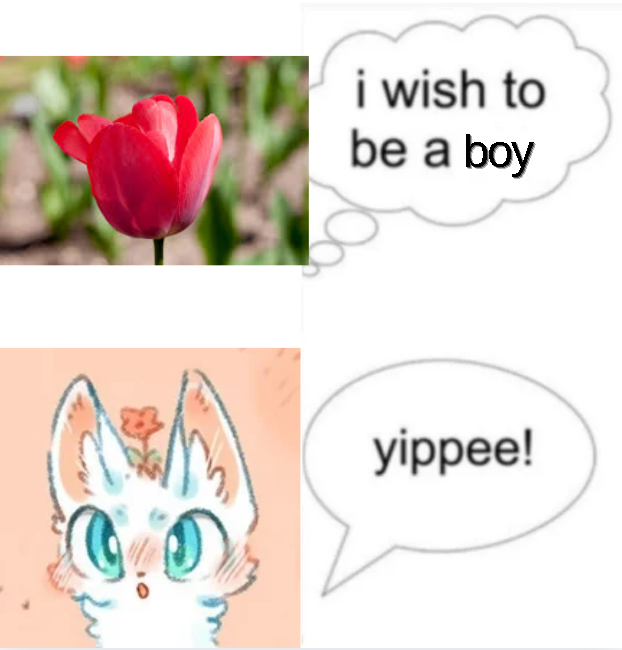 FFeriling tweet media