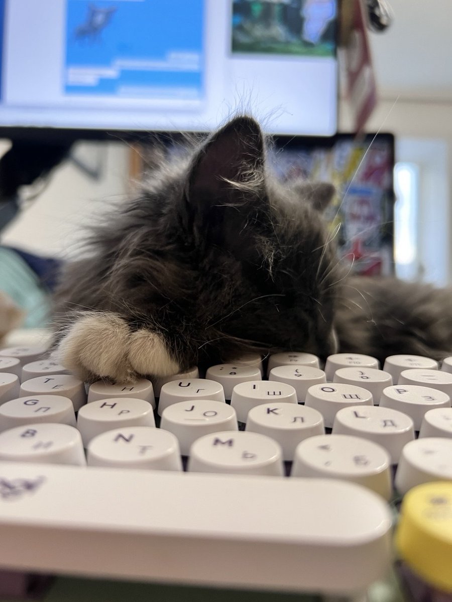 Афиша Daily tweet media