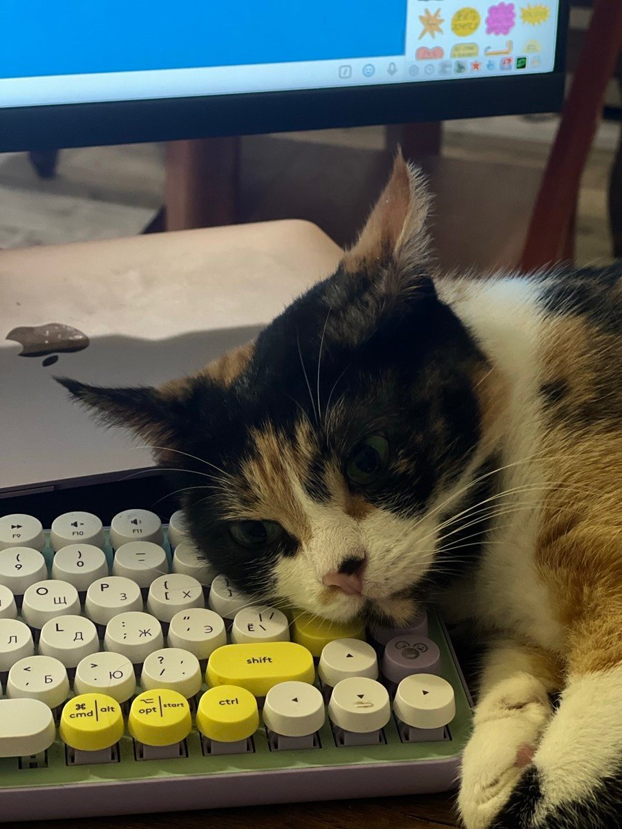 Афиша Daily tweet media