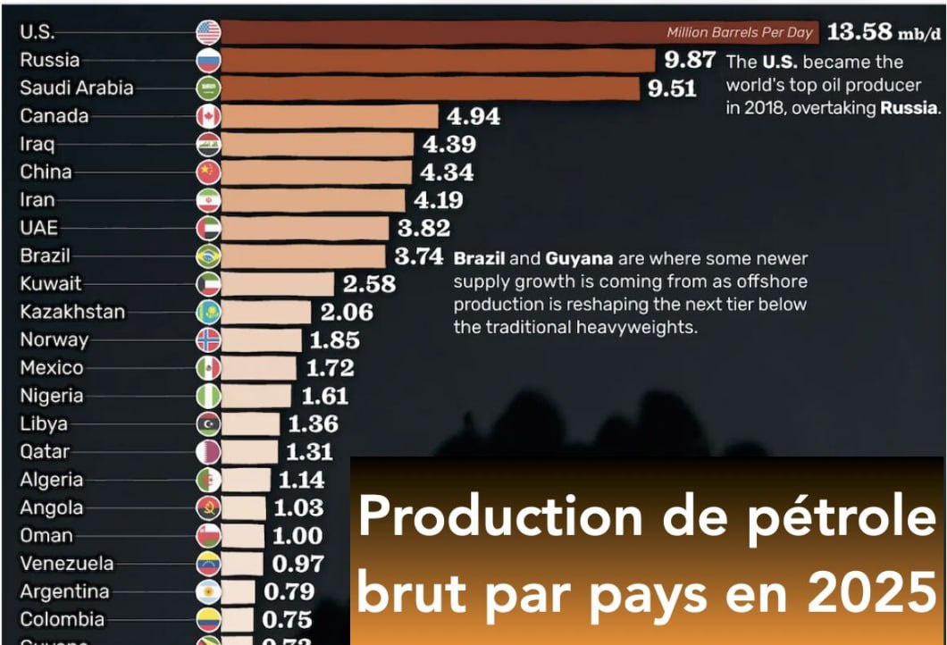 badciss ™ tweet media