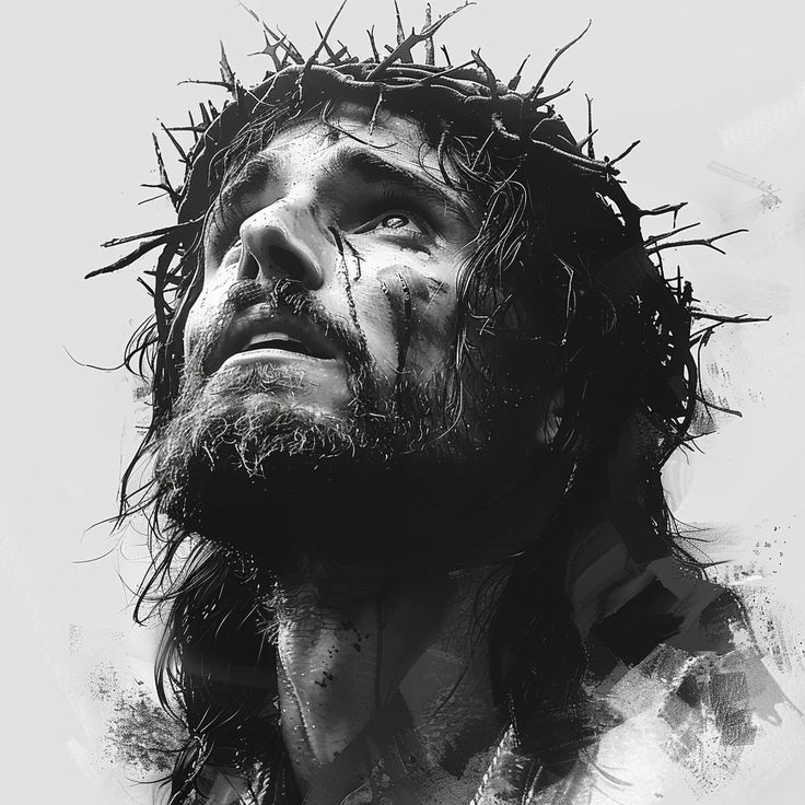 ๐
ฐ๏ธ MAD DREAM ๐ tweet media