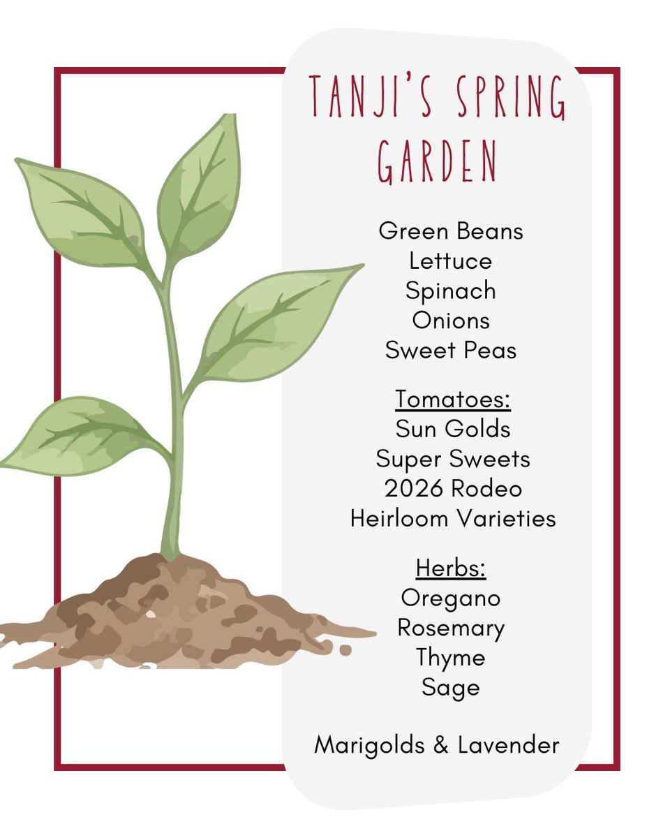 TanjiPatton's tweet image. It's officially #garden season! Take a peek at what Tanji's planting this #spring — drop a 🌱 if you're growing something too! #hellospring