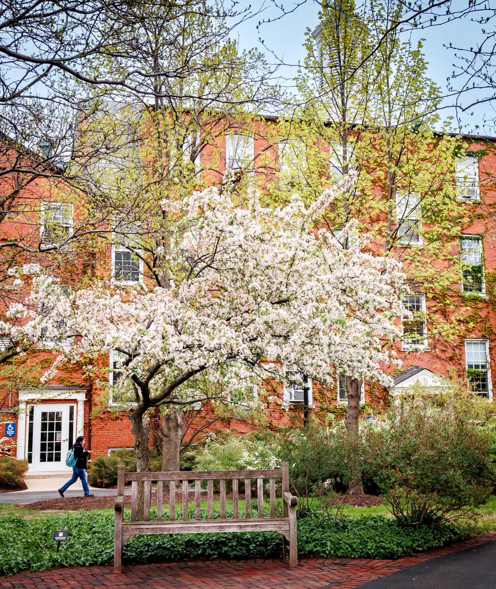 North Park Seminary tweet media